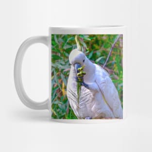 The Cockatoo Feeds! Mug